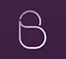 Bull. B logo