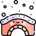 Snowbridge logo