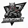 DogeSpacex logo