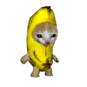 banana cat logo