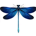 Dragon Fly logo