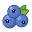 BlueBerry logo