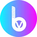 BitValley logo