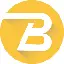 BSC PAYMENTS logo