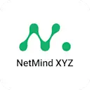 NetMind XYZ logo