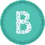 Bankera V2 logo