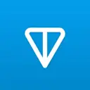 The Open Network logo