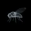 Flybrain logo