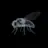 Flybrain logo