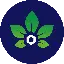 AgriNode logo
