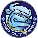 Iced Out Coin Flip logo