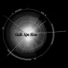 Cash Ape Rise logo