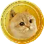 Catge coin logo