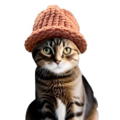 catwifhat logo