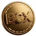 Big Coin logo