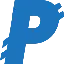 PayNet Coin logo