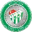 Bursaspor Fan Token logo