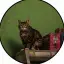 GTA6CAT (thegta6cat.com) logo