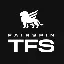 TFS Token logo