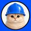 Basecat logo