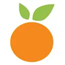 Satsuma Technology Plc logo