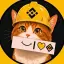 Binance Cat (binance-cat.com) logo