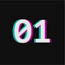 Binary Holdings logo