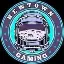 NEWTOWNGAMING logo