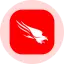 CrowdStrike Holdings Inc (Derivatives) logo