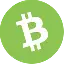 Wrapped Bitcoin Cash logo