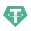 Euro Tether logo