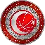 Turkish Basketball Federation Fan Token logo