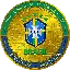 Brazil National Football Team Fan Token logo