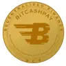 BitcashPay logo