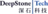 DeepStoneTech logo