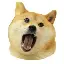 Doge Eat Doge logo