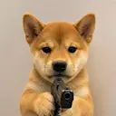 Dogwifgun logo