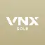 VNX Gold logo