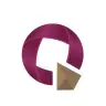 Qalaxy Labs logo