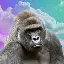 Harambe on Solana logo