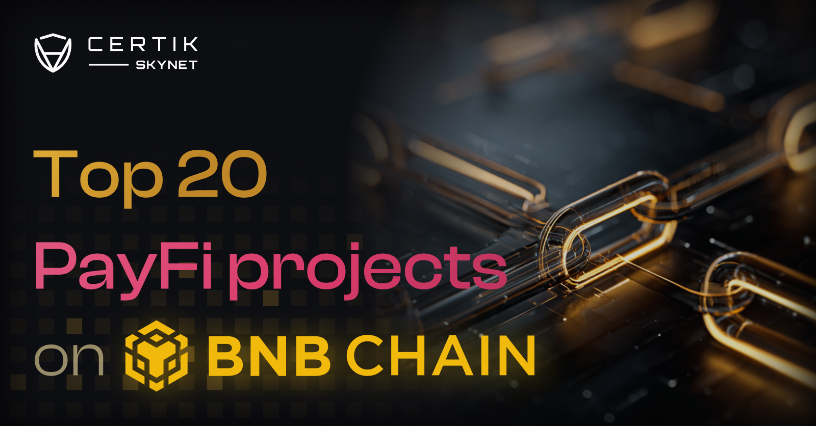 CertiK Skynet | Top 20 PayFi Projects on BNB Chain