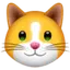 KittenFinance logo