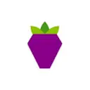 Berry Data logo