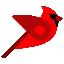 Bird.Money logo