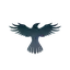 Raven Protocol logo