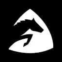 Paycer  logo