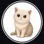 Cash Cat (cashcat.store) logo