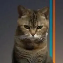 Beancat logo
