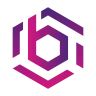 BHO Network logo