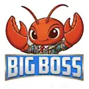 BIGBOSS logo